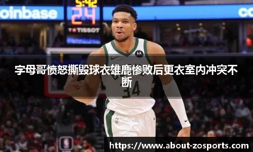 中欧体育官方网站